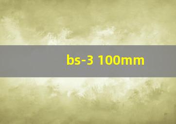 bs-3 100mm